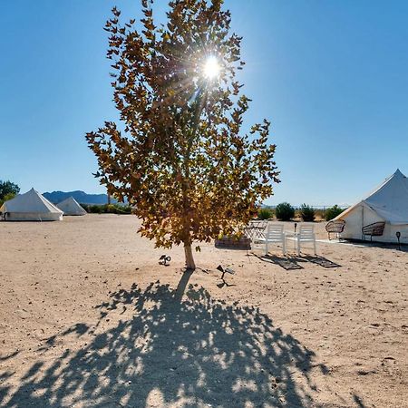 The Castle House Estate Hotel Joshua Tree Eksteriør billede