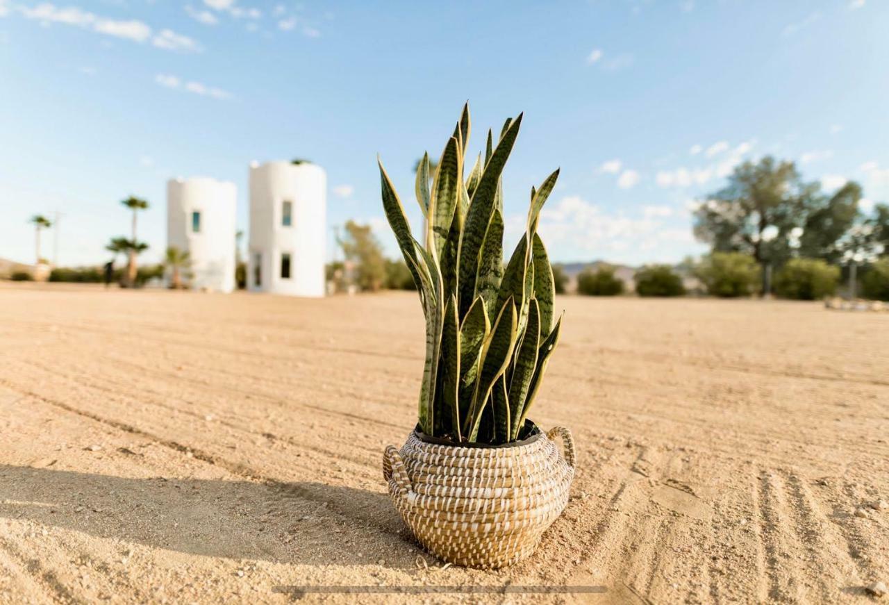 The Castle House Estate Hotel Joshua Tree Eksteriør billede